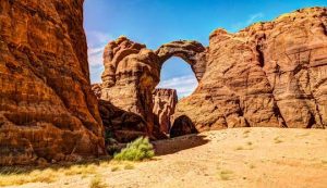 Unlimited Linux Hosting In Chad