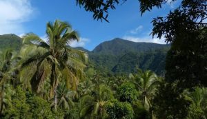 Unlimited Linux Hosting In Comoros