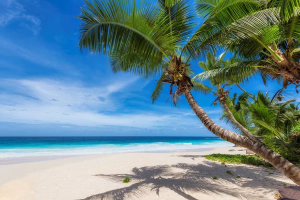 Unlimited Linux Hosting In Bahamas