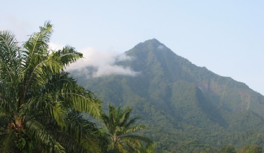 Unlimited Linux Hosting In Cameroon