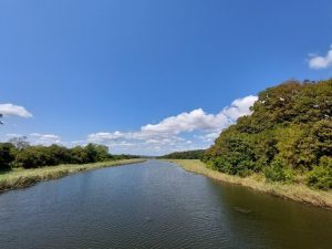 Unlimited Linux Hosting in Congo