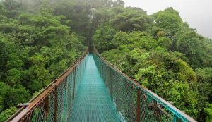 Unlimited Linux Hosting In Costa Rica