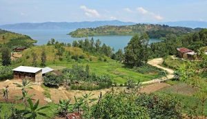 Unlimited Linux Hosting In DRC