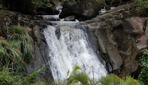 Unlimited Linux Hosting In Grenada