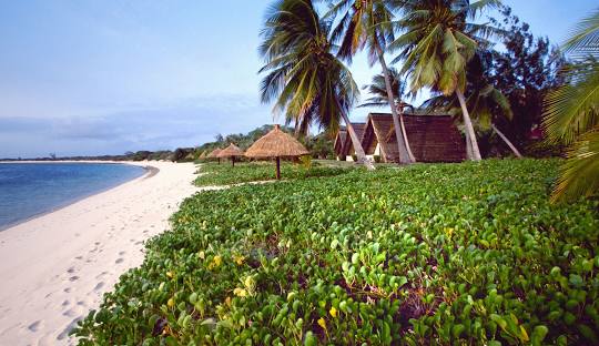 Unlimited Linux Hosting In Mozambique