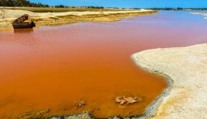 Unlimited Linux Hosting In Senegal