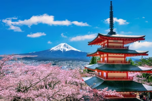 Unlimited Linux Hosting In Japan