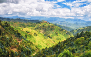 Unlimited Linux Hosting In Rwanda