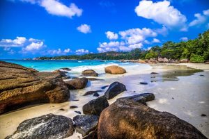 Unlimited Linux Hosting In Seychelles